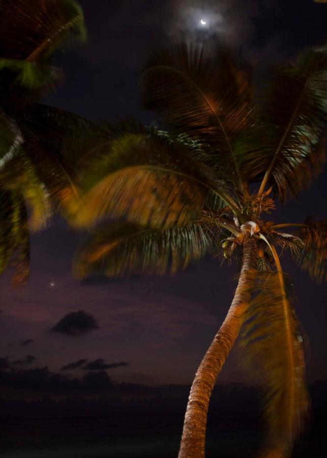 Sables D'Or Luxury Apartments Beau Vallon  Exterior foto